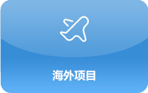 海外项目